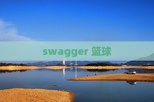 swagger 篮球 swagger 篮球